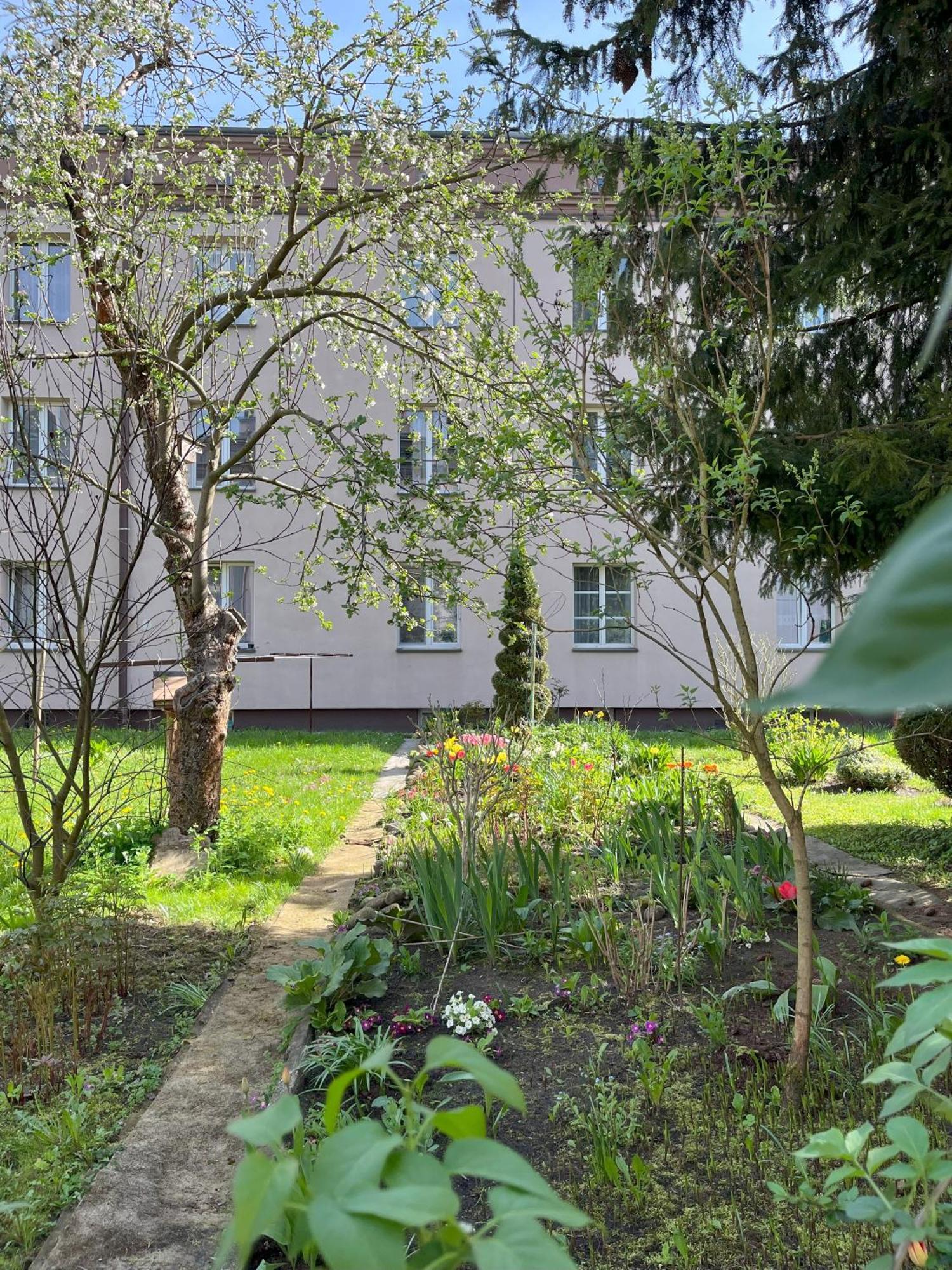 Greenthumb Praska Cracovia Esterno foto