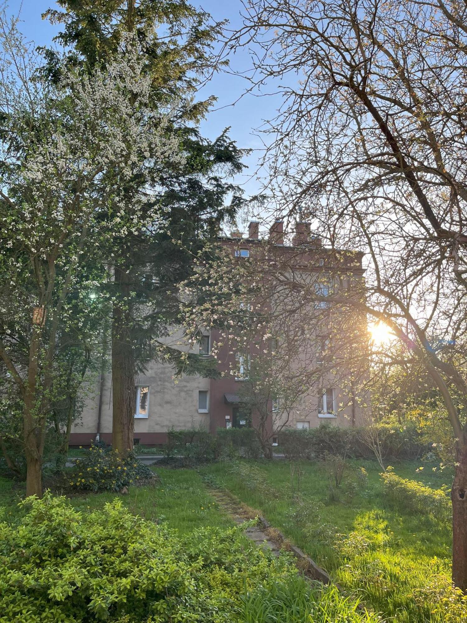 Greenthumb Praska Cracovia Esterno foto
