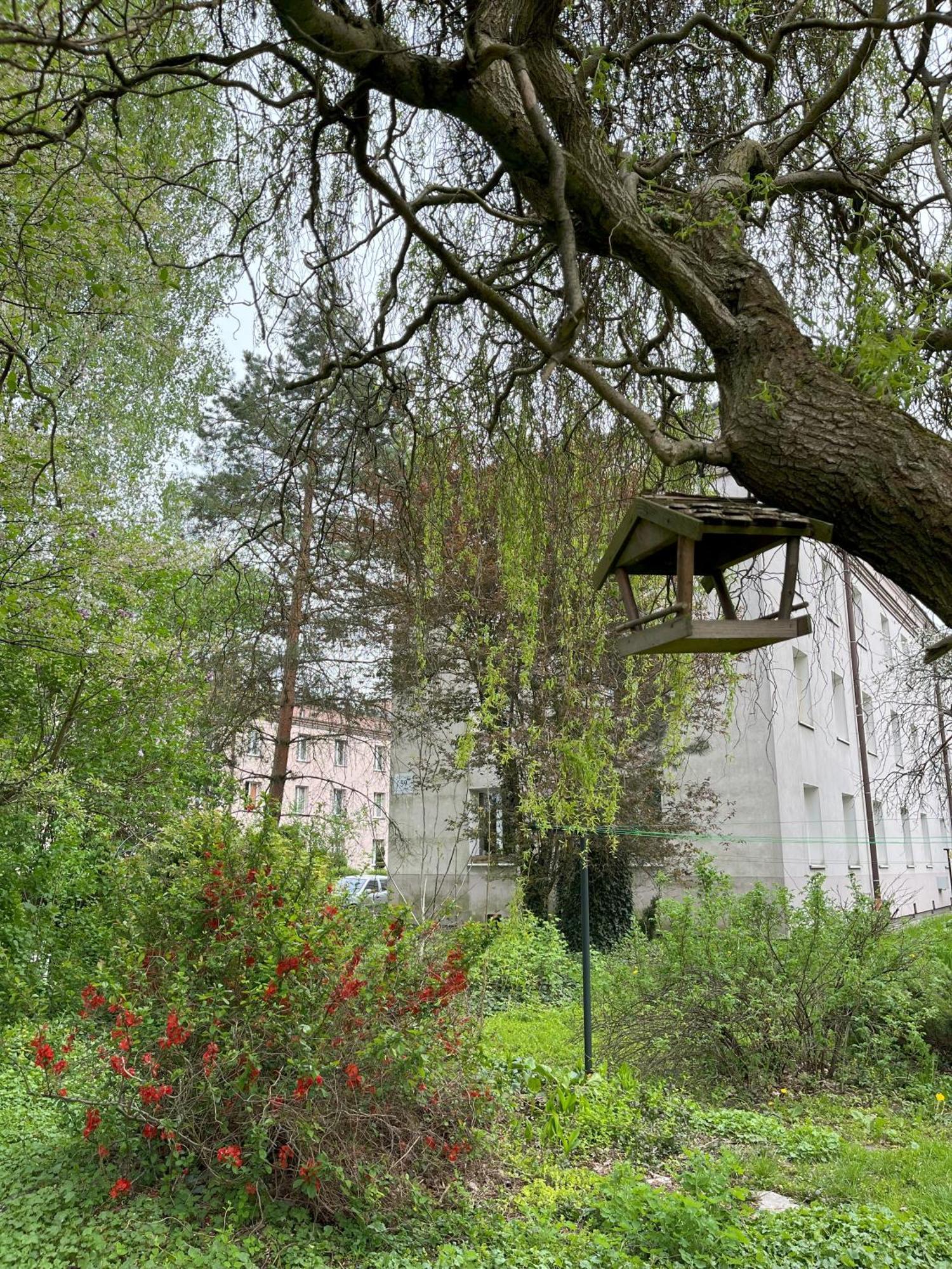 Greenthumb Praska Cracovia Esterno foto
